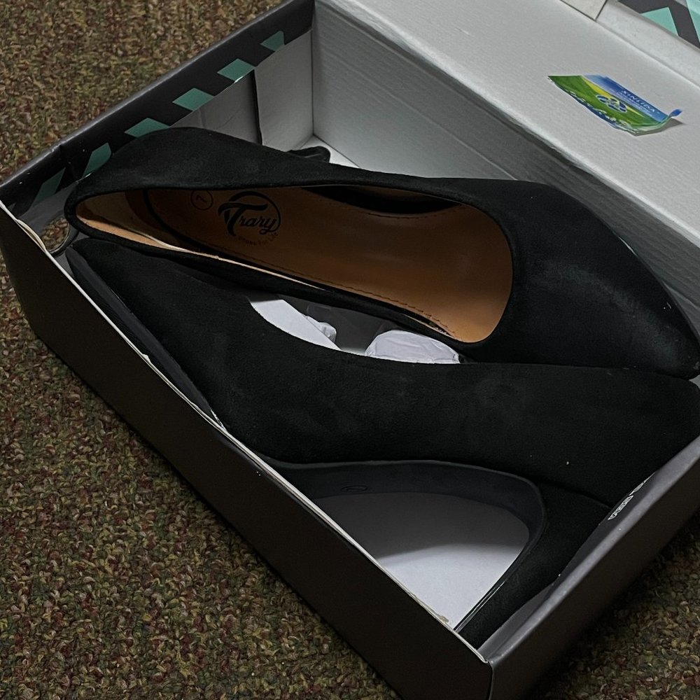 Trary Women’s High Heel Dress Pump Pointed Toe Shoe Classic Office Special Dress